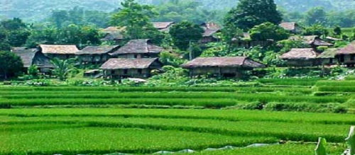 MAI CHAU